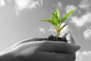 planting_seeds